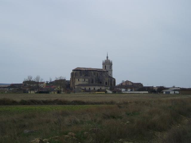 TÁMARA DE CAMPOS