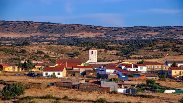 LA TALA